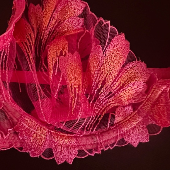 CLEARANCE $1̶4̶0̶ RARE BLUEBELLA Victoria’s Secret Floral Embroidery Bra & Panty - Picture 5 of 6